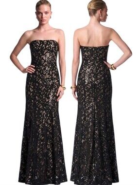 BCBGMAXAZRIA Natasha Applique Chiffon Sequined Gown - Size 4
